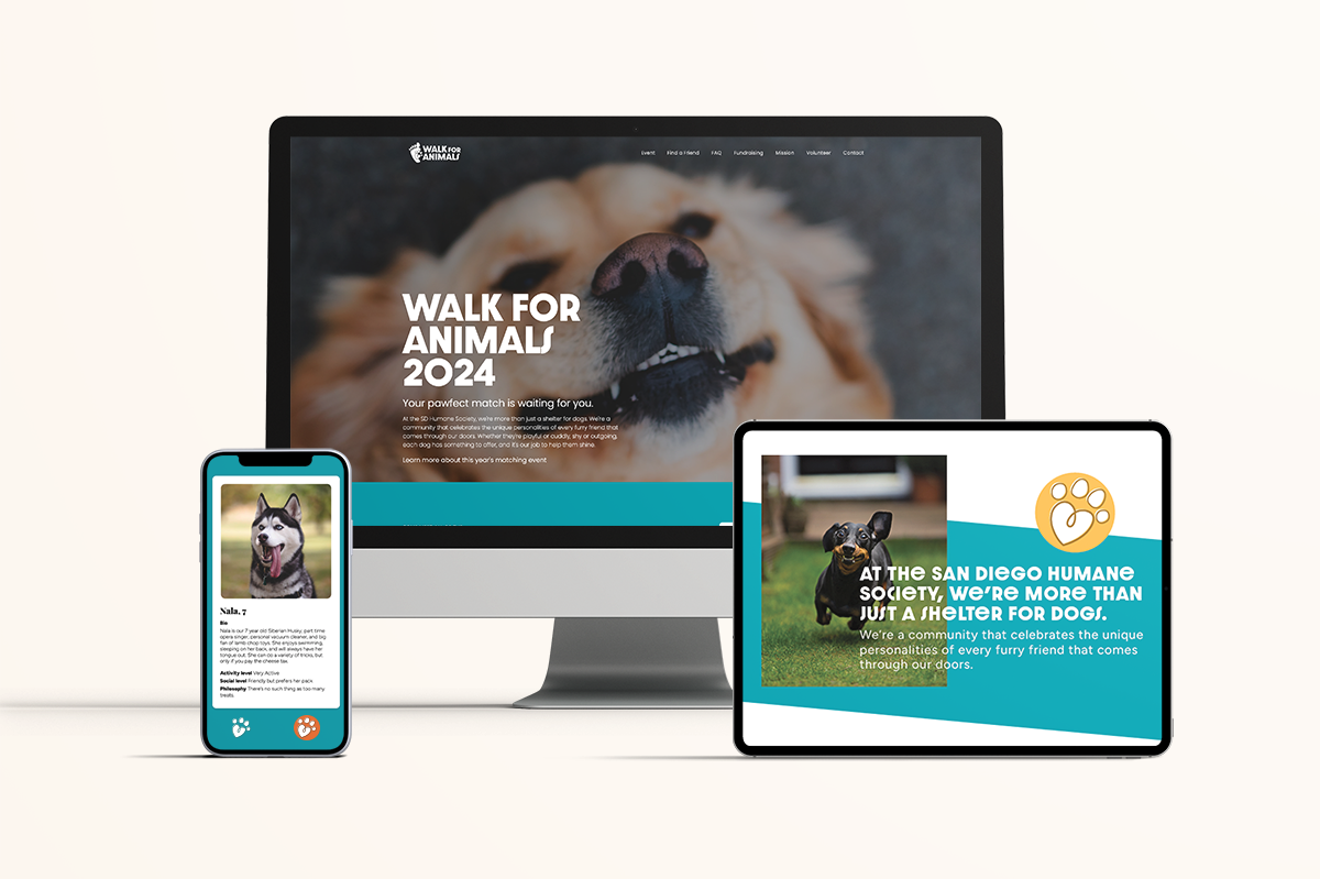 website demo